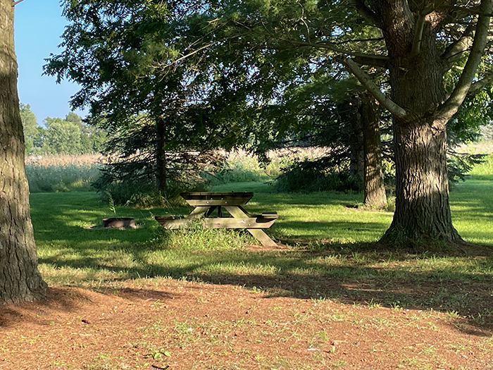 Image of one of the camping sites at Der Happy Hallow