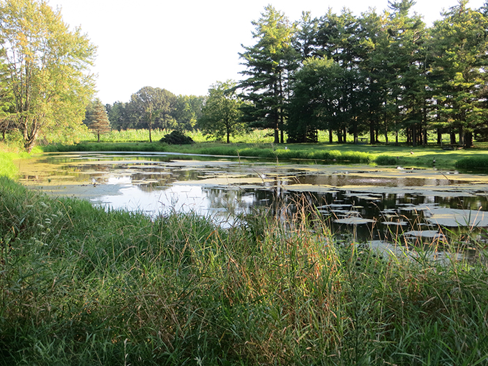 Fishing pond at Der Happy Hallow