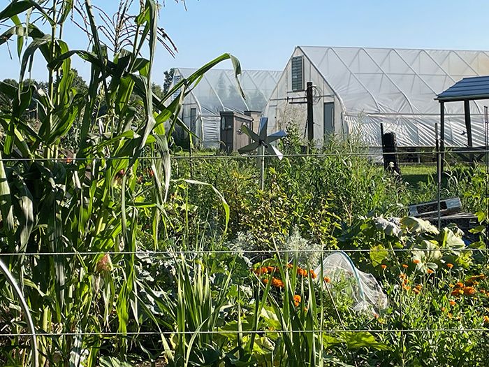 Image of garden at Roots Community Garden - Der Happy Hallow