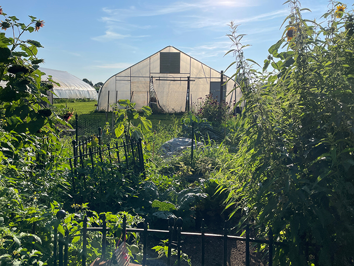 Image of greenhouse at Der Happy Hallow