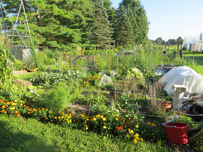 Image of garden at Roots Community Garden - Der Happy Hallow